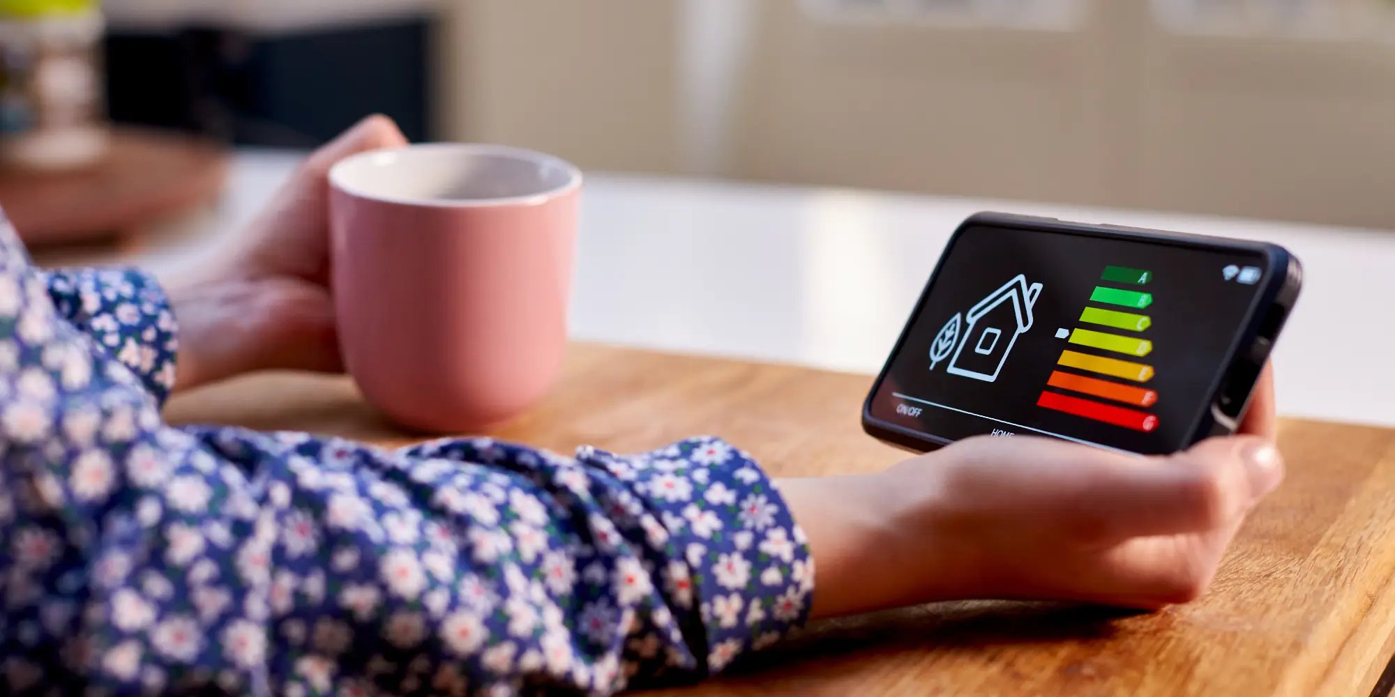 person holding a tablet and checking their home eco friendliness.