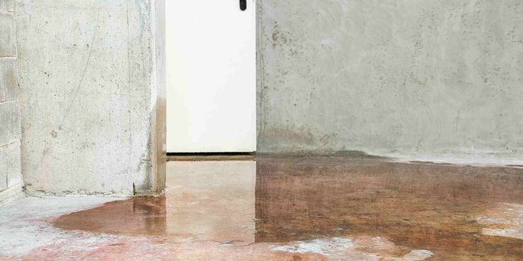 flooded basement floor.