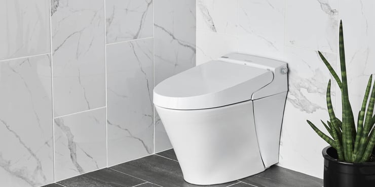 American Standard SpaLet 