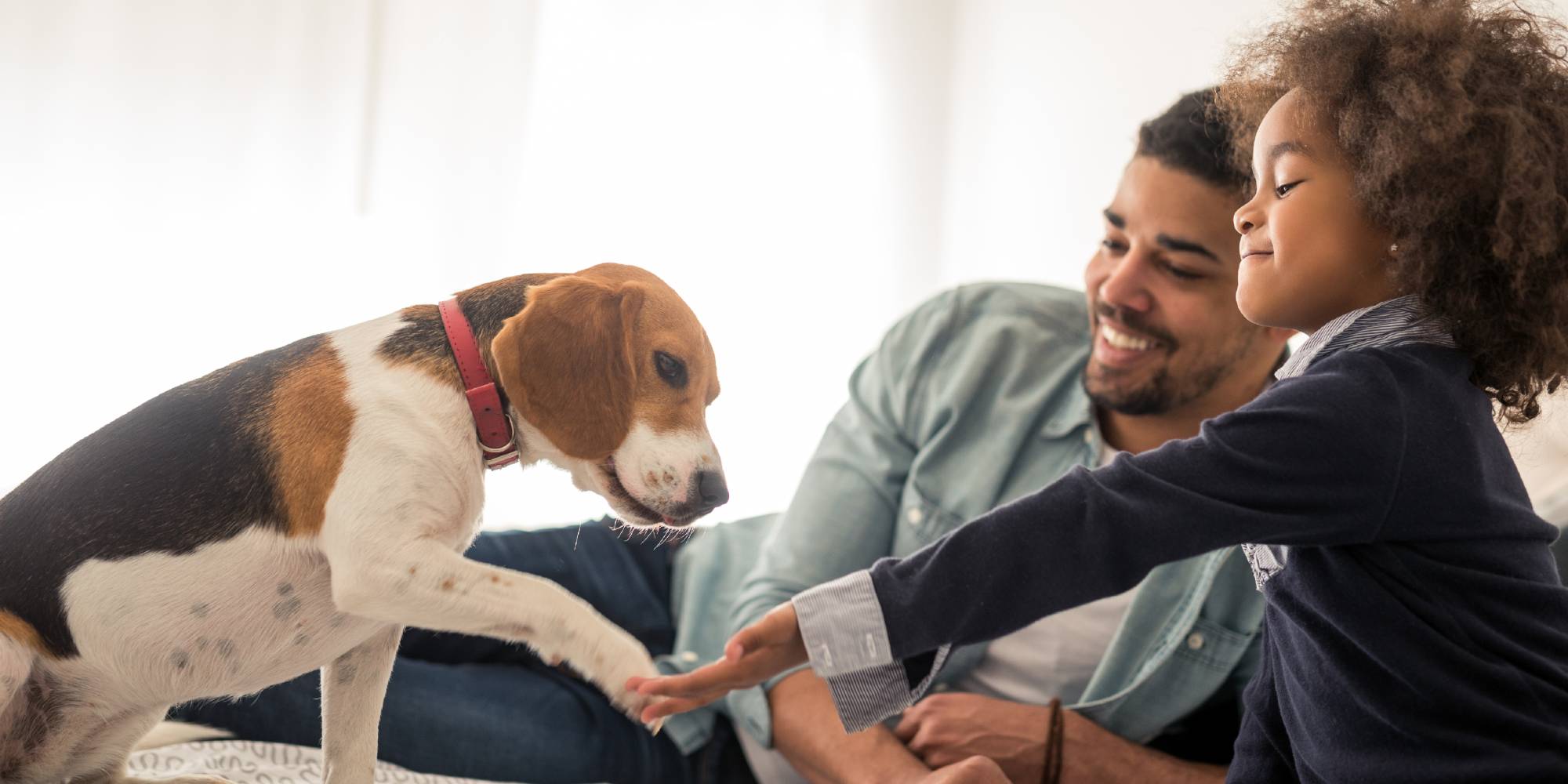 Father and daughter playing with a dog