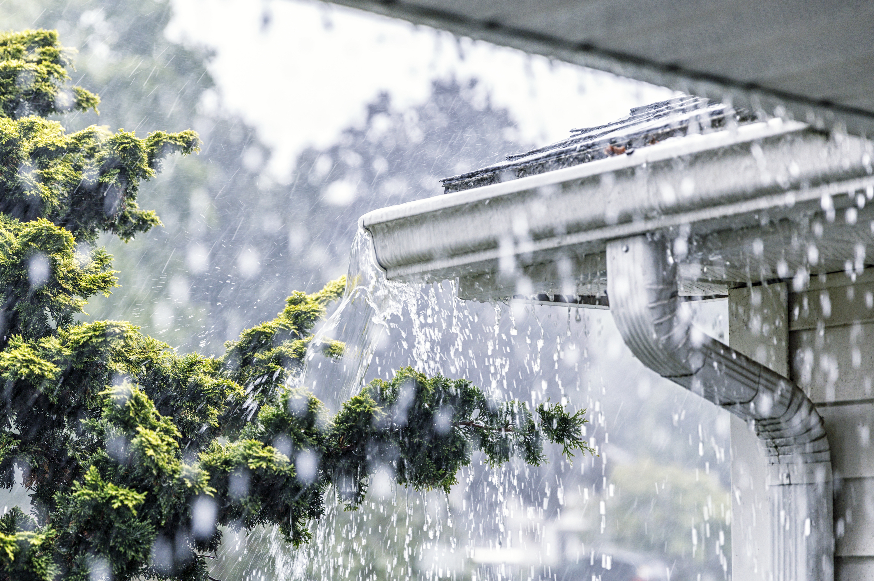 Spring-Flooding-Gutters-is-1013886544